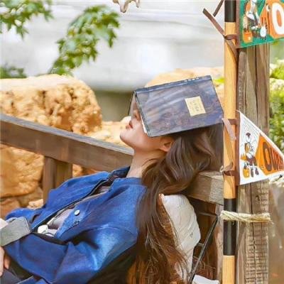 终结者3：机器的崛起
